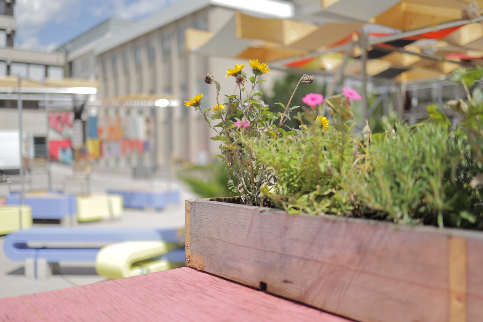 HerSpace?! Pop-up — Blumenkasten